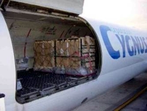 Los chimpancés ya están en el avión.